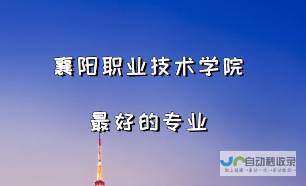 襄阳专业SEO服务：定制化方案，助您在襄阳市场脱颖而出